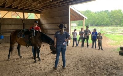 Day 2: Nothing Better than Horses!
