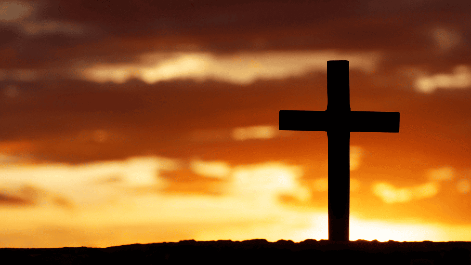 Cross Shaped Life